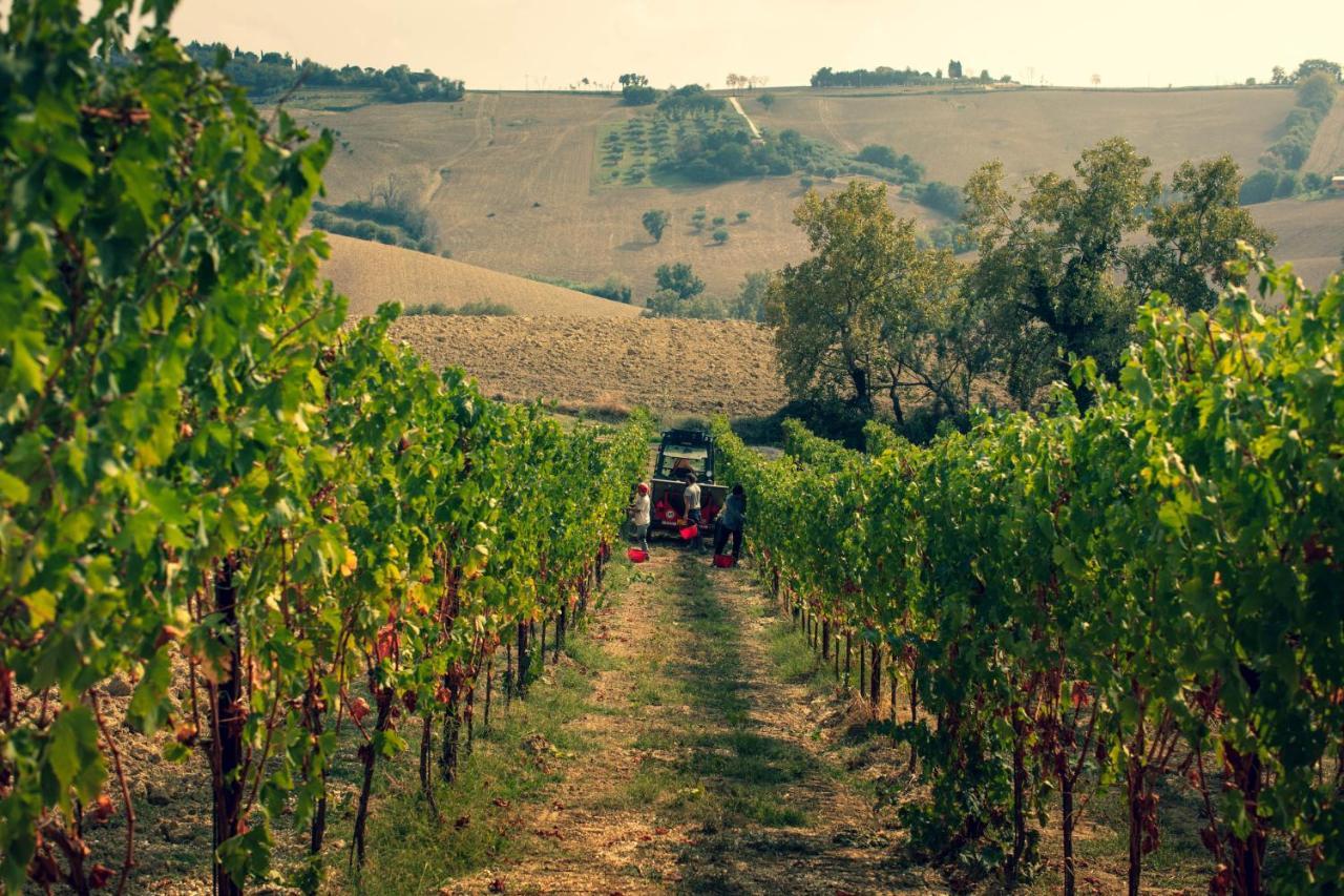 Filodivino Wine Resort & Spa San Marcello  Luaran gambar